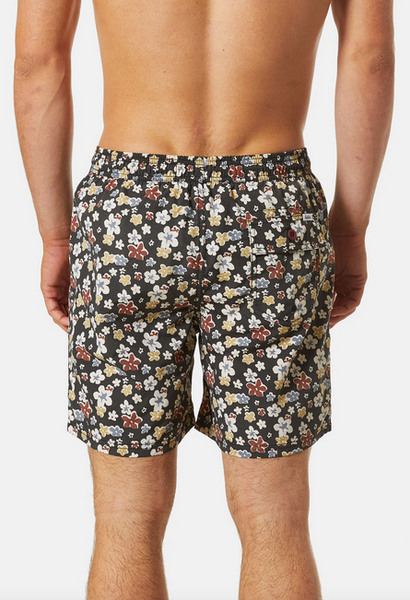 Meadow Volley - Black Wash