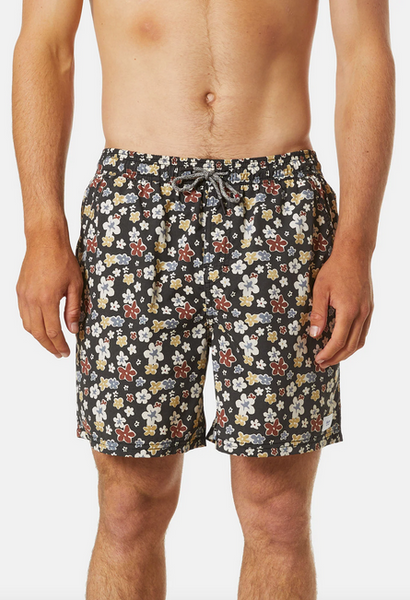 Meadow Volley - Black Wash