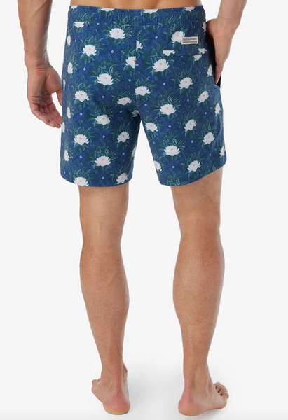 Bayberry Trunk - Navy White Lotus