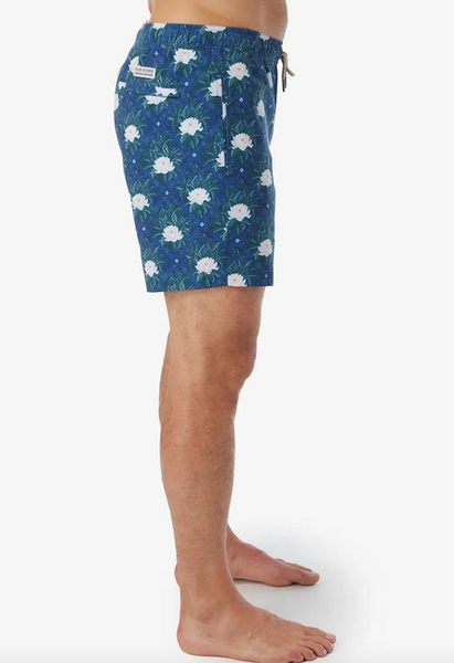 Bayberry Trunk - Navy White Lotus