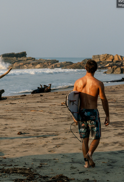 Sub Tropic 18.5" Boardshort - Phantom