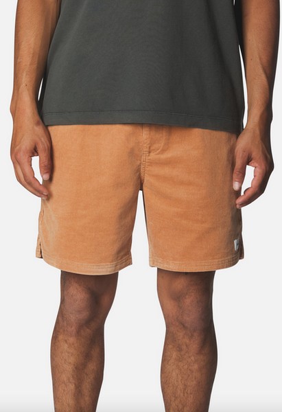 Cord Local Short - Brush